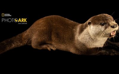 Metro Richmond Zoo Now Included In National Geographic’s Photo Ark