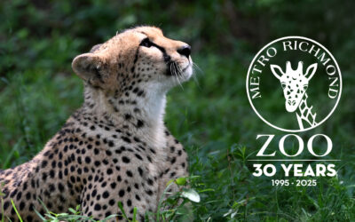 Celebrating 30 Years