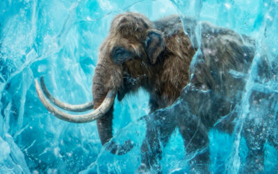 Ice Age Invasion